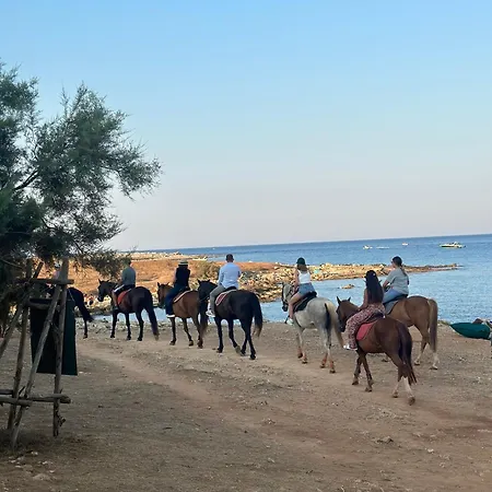 Dimora Santa Domenica *